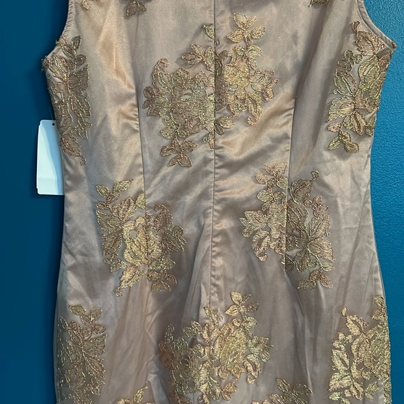 Boston Proper Rose Gold Dress - Picture 14 of 16